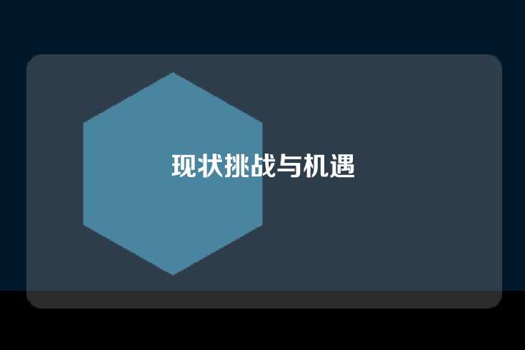 现状挑战与机遇