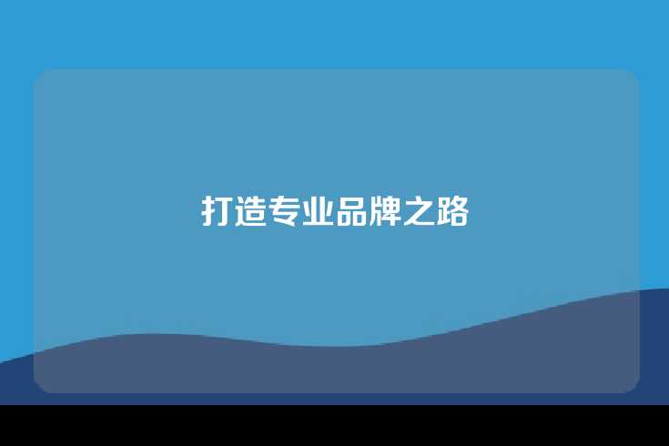 打造专业品牌之路