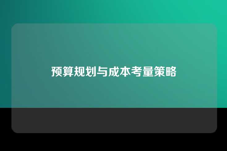 预算规划与成本考量策略