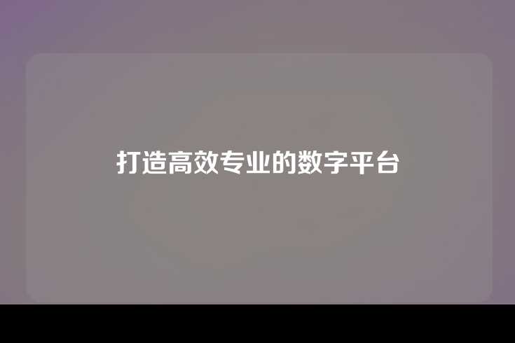 打造高效专业的数字平台
