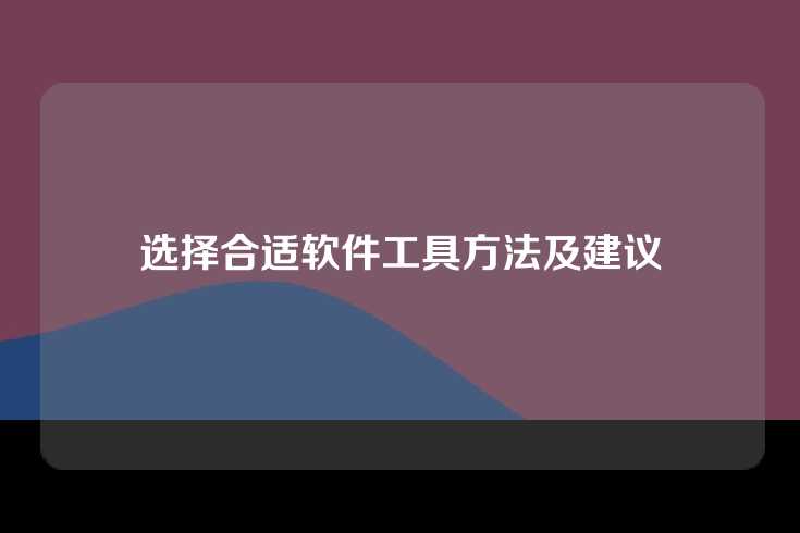 选择合适软件工具方法及建议