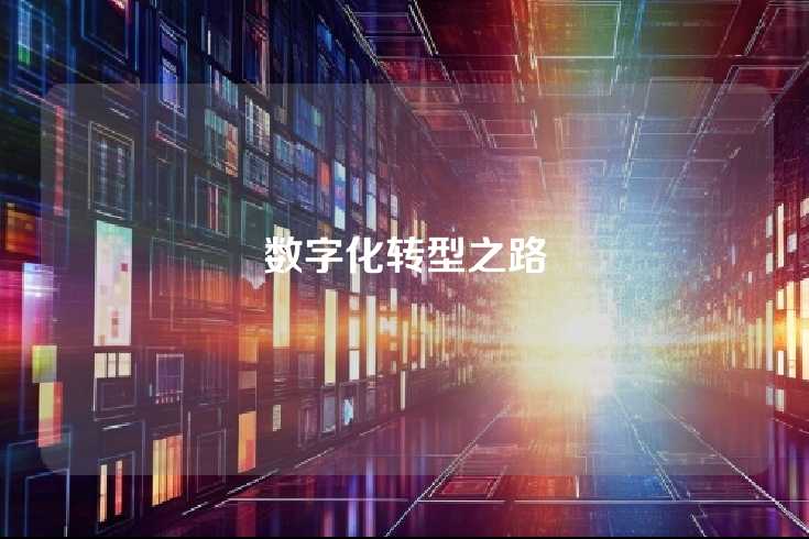 数字化转型之路
