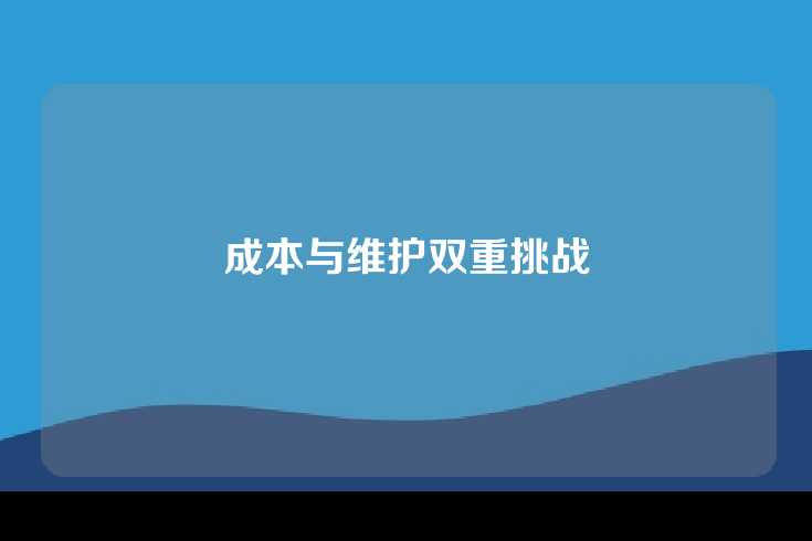 成本与维护双重挑战