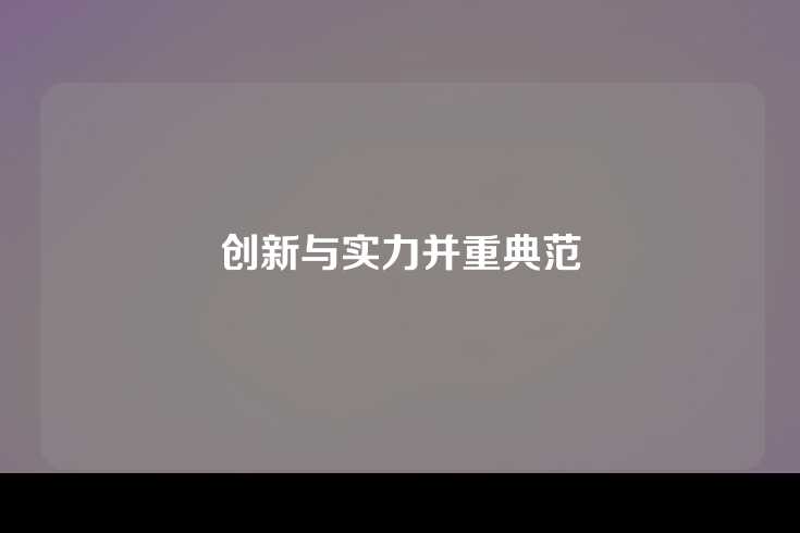 创新与实力并重典范