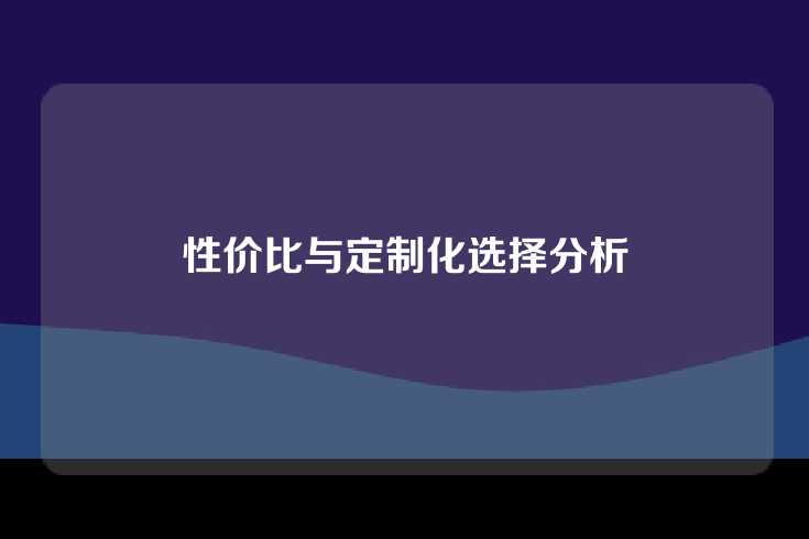 性价比与定制化选择分析