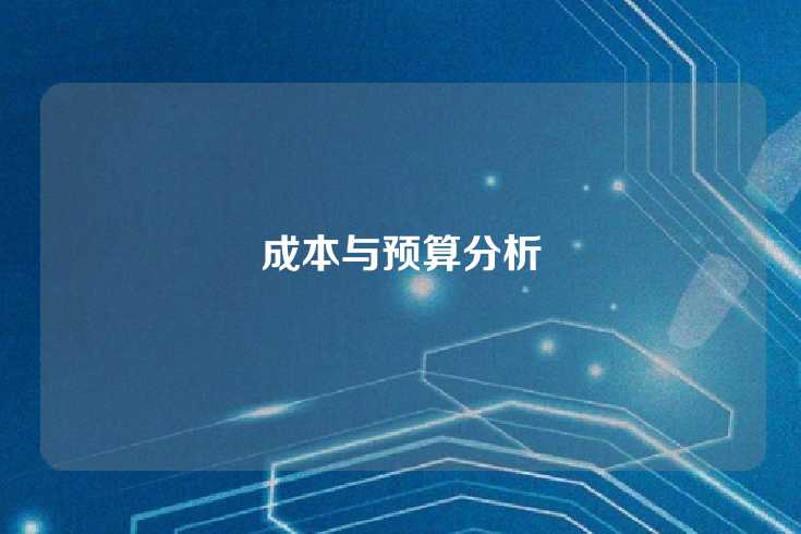 成本与预算分析