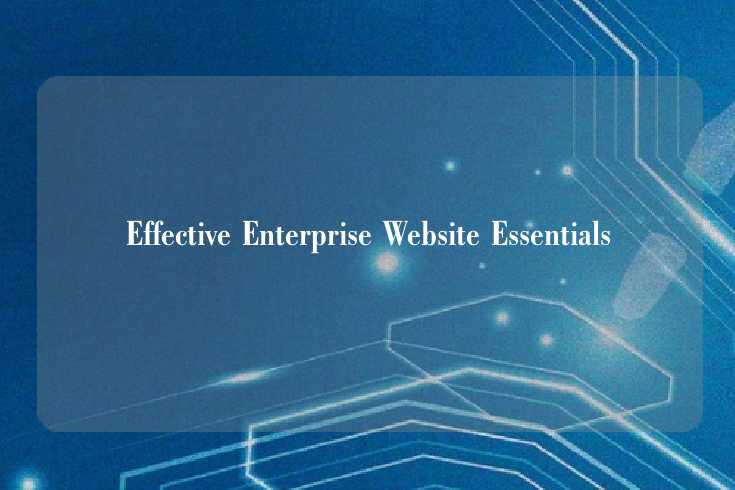 Effective Enterprise Website Essentials