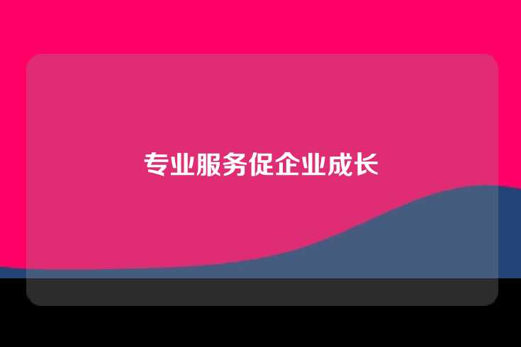 专业服务促企业成长