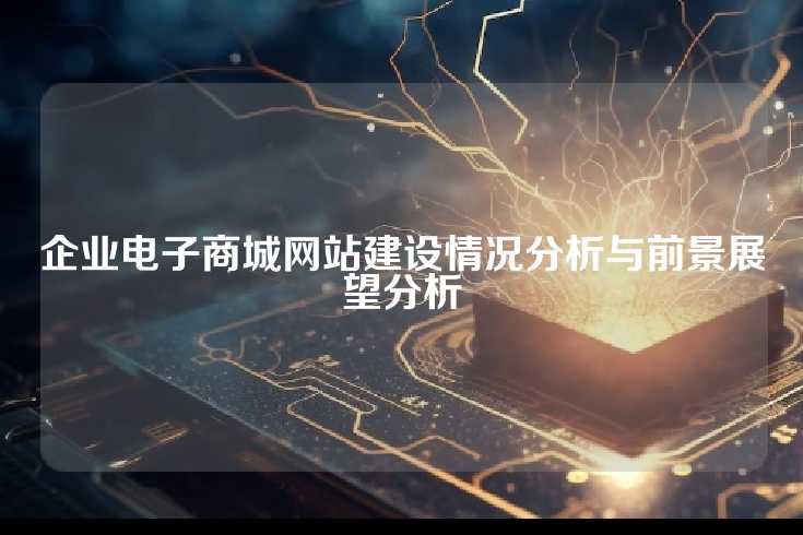 企业电子商城网站建设情况分析与前景展望分析