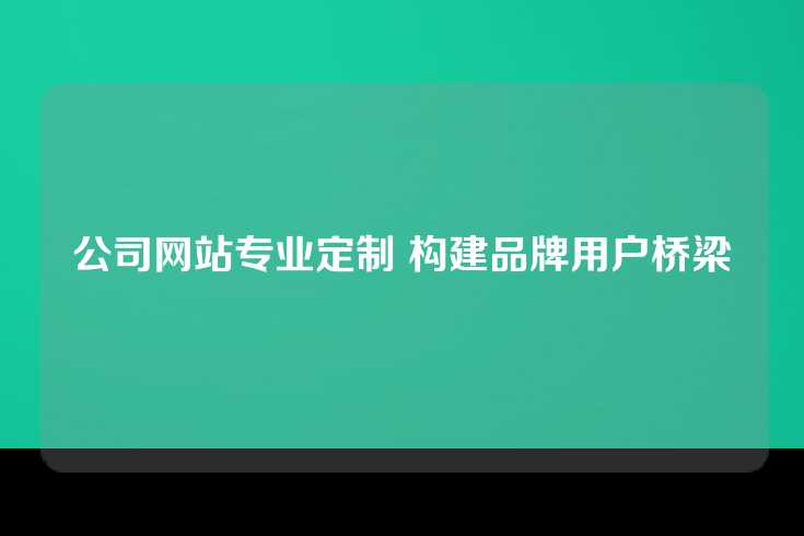 公司网站专业定制 构建品牌用户桥梁