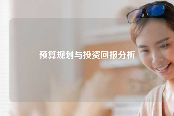 预算规划与投资回报分析