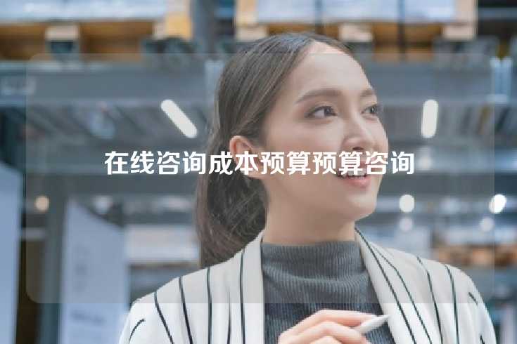 在线咨询成本预算预算咨询