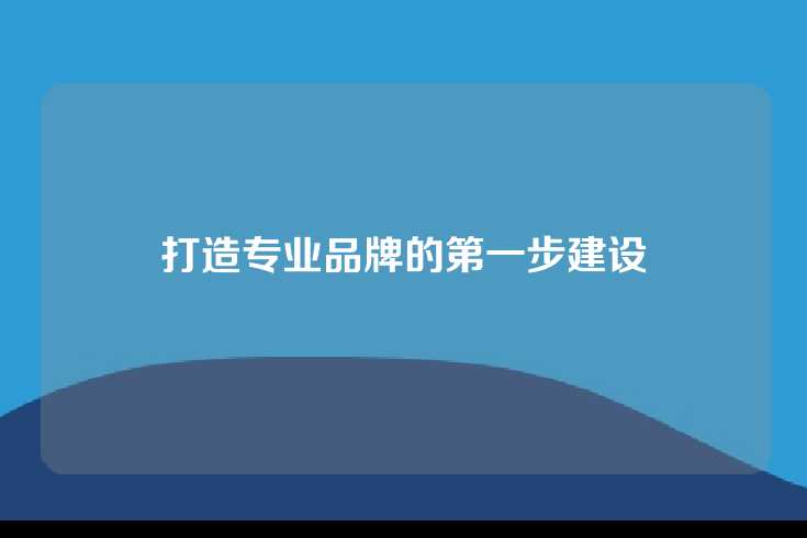 打造专业品牌的第一步建设