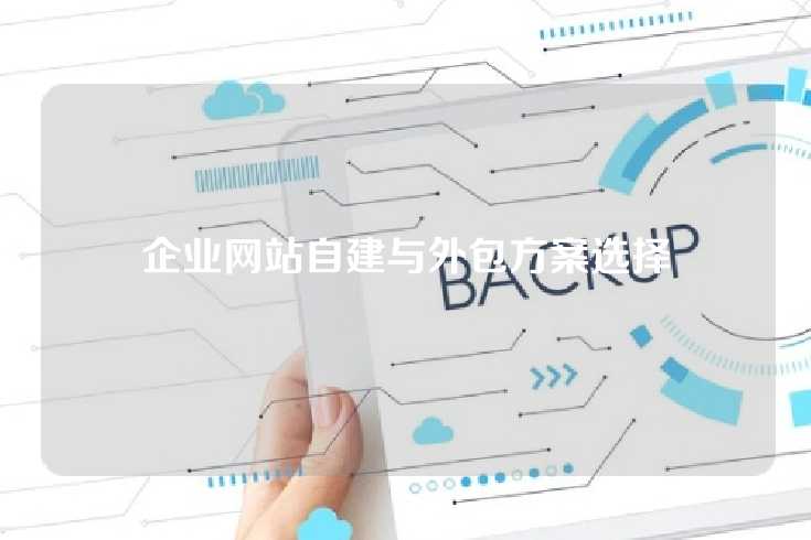 企业网站自建与外包方案选择