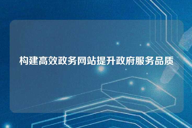 构建高效政务网站提升政府服务品质