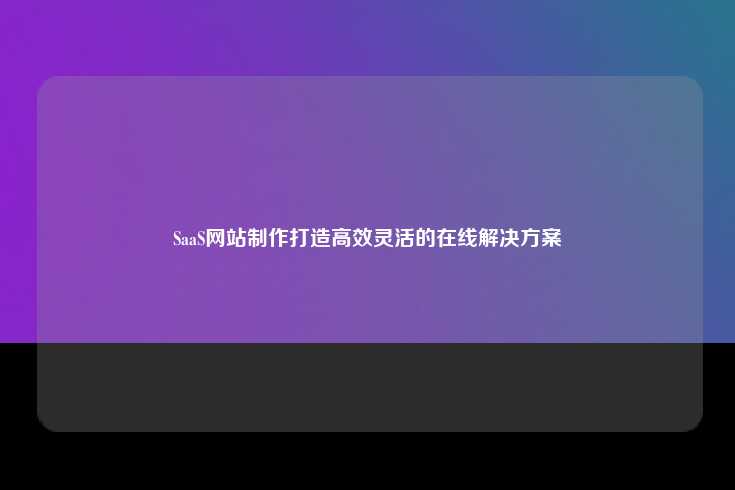 SaaS（软件即服务）网站制作