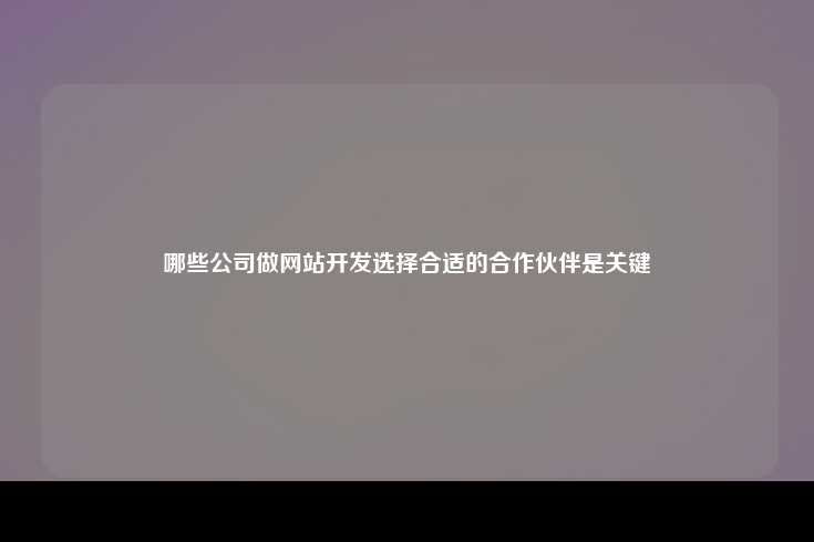 哪些公司做网站开发选择合适的合作伙伴是关键