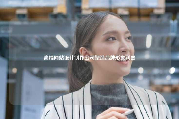 高端网站设计制作公司，塑造品牌形象的得力助手